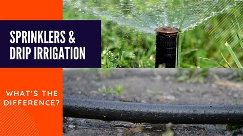 Sprinkler And Drip Irrigation ⁠— Whats The Difference Youtube