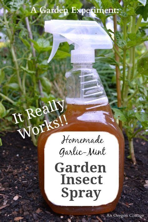 Homemade Mosquito Yard Spray Garlic How To Make Homemade Organic