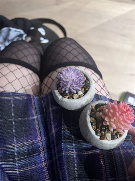 Shan 🍄˚ ₊⁎• On Twitter Am I A Milf Im Now A Mother To Cacti Things