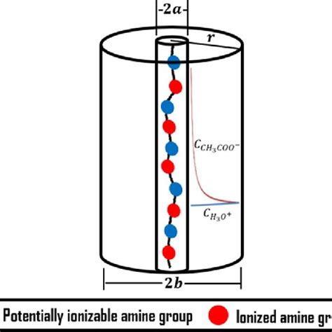 Cylindrical Cell Model For A Molecule Of Chitosan With A High Degree Of