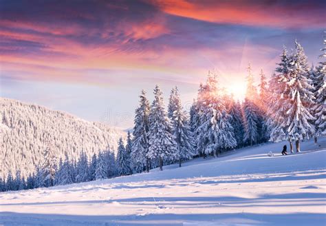 Colorful Winter Morning In The Carpathian Mountains Stock Photo