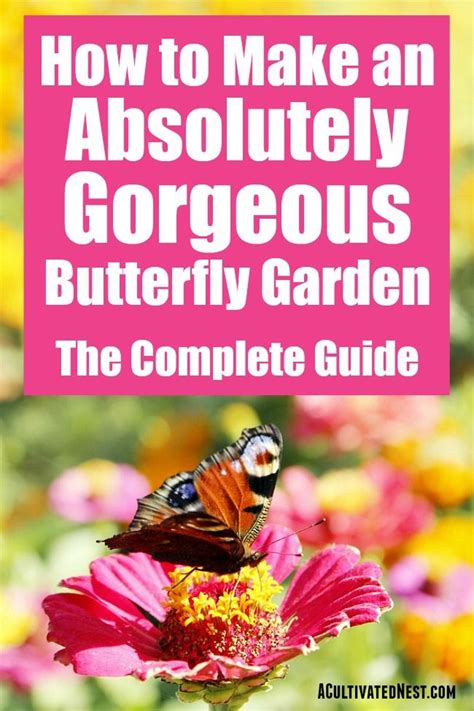 How To Build A Butterfly Garden Making A Gorgeous Butterfly Garden In