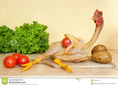 Chicken Lying Stock Image Image Of Chicken Kitchen 13204181
