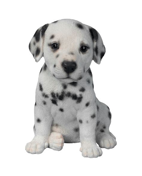 Dalmatian Puppy Transparent Png Stickpng