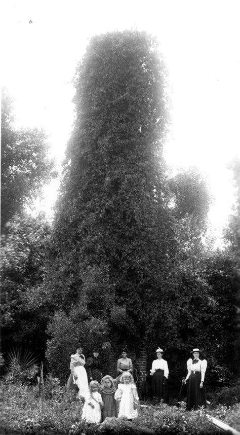 Florida Memory • Women And Girls Standing By Ivy Covered Chimney De