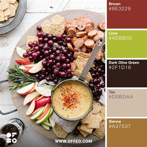 25 Vibrant Food Color Palettes For Food Photography Offeo