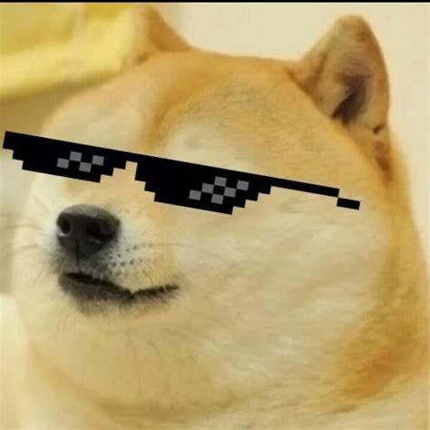 Doge With Sunglasses Glasses Meme Memes Dog With Glasses