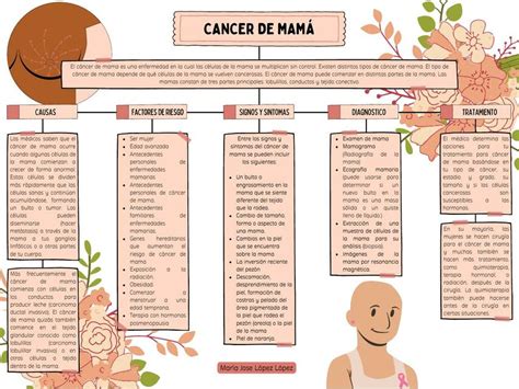 Mapa Conceptual De Cancer De Mama Educacion Vrogue Co