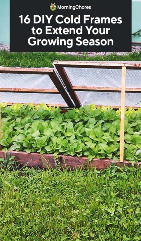 Diy Cold Frames To Extend Your Growing Season Homesteading Alliance