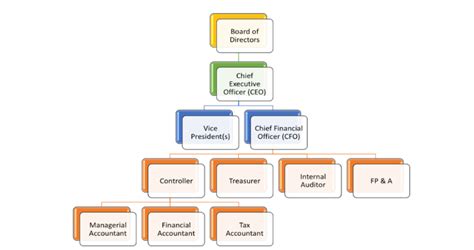 Understanding The Organizational Structure Of Financial Departments