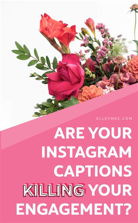 Are Your Instagram Captions Killing Your Engagement Elley Mae