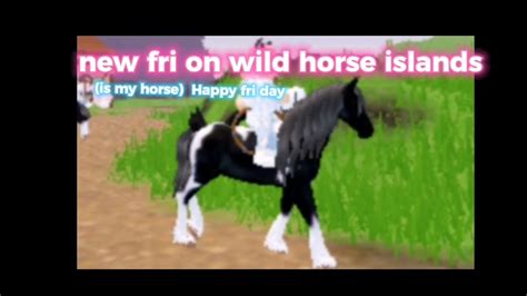 New Friesians On Wild Horse Islands Youtube