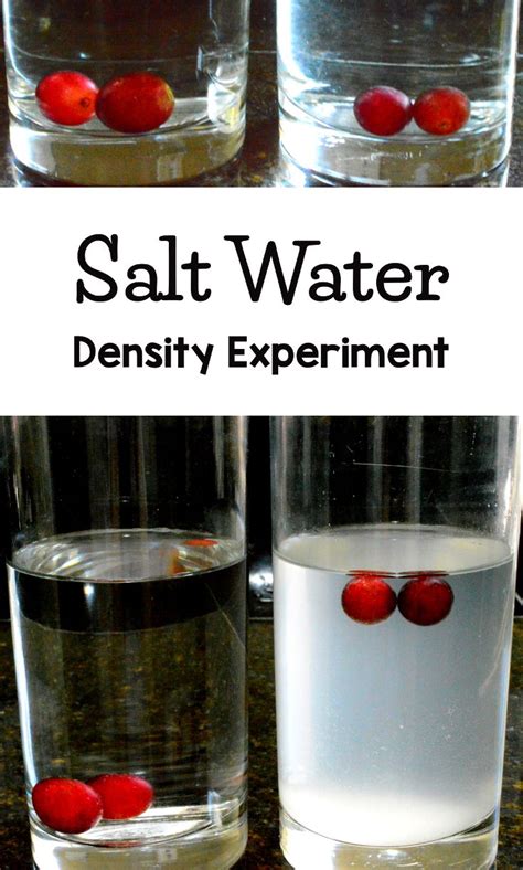 Density Science Experiments For Kids