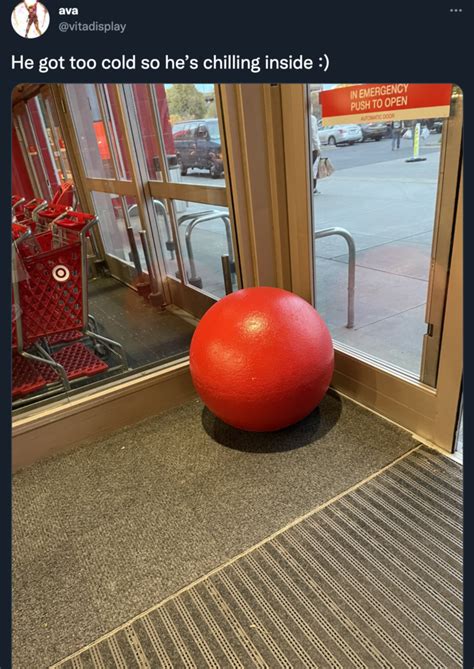 He Got Too Cold So Hes Chilling Inside Target Ball Meme Target Balls