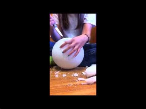 We did not find results for: How to make an animal cell model - YouTube