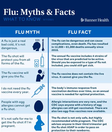 The Myths And Facts You Should Know About The Flu Banner