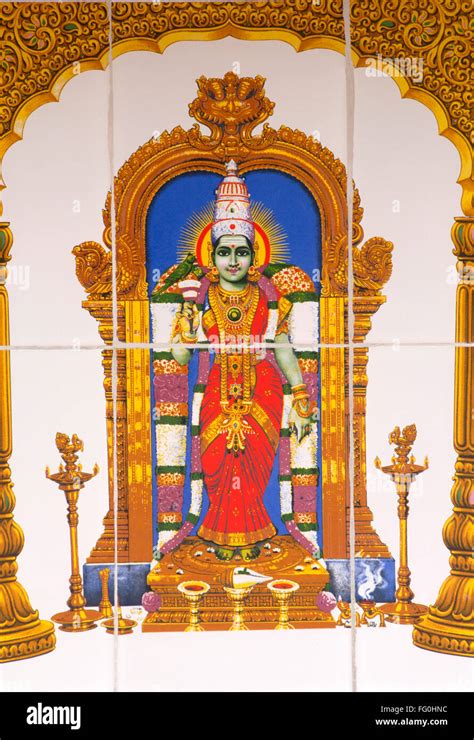 Sri Meenakshi Amman Indian Goddess Goddess Lakshmi Go