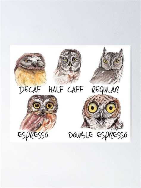 Owl Caffeine Scale Funny Coffee Owls Poster By Hollysimental