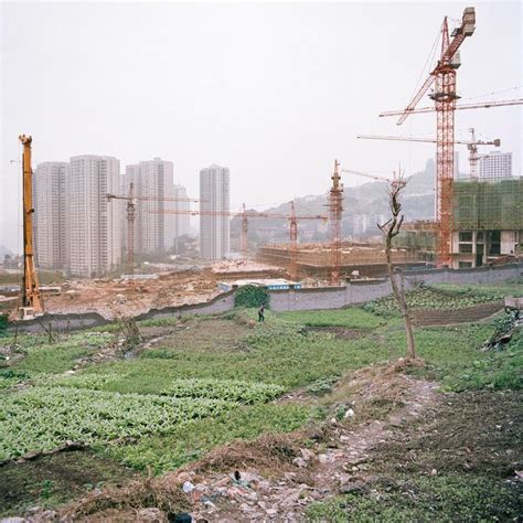 Tim Franco Metamorpolis Urban Farming Chongqing Paris Skyline