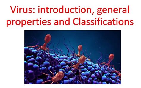 Virus Introduction Properties And Classifications