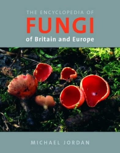 The The Encyclopedia Of Fungi Of Britain By Michael Jordan Used