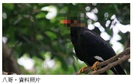 Download 蘋果動新聞 apple daily and enjoy it on your iphone, ipad, and ipod touch. 蘋果日報 分享 http://www.appledaily.com.tw/realtimenews/article/international/20121216/157011 『投資一定有風險，基金投資有賺 ...