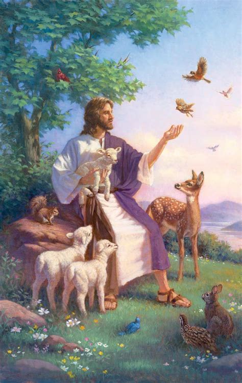 Pictures Of Jesus With Animals Panamavanhalenmeaning