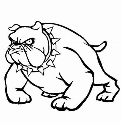 Coloring Pages Bulldog Pitbull Bulldogs Puppy Vicious