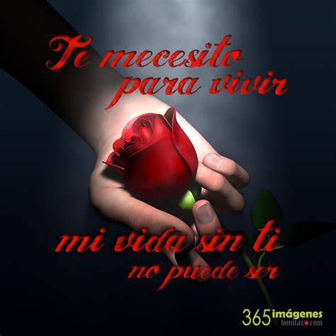 Que tal surpreender quem você tanto ama com uma declaração emocionante? Frases Bonitas Whatsapp Frases De Amor Para Mi Novio Cortas - Super Interessante