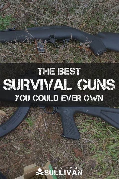 The Best Survival Guns You Could Ever Own Survival Sullivan
