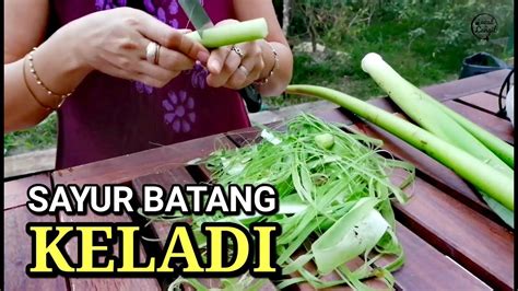 Sayur Batang Keladi Sabahan Style Youtube