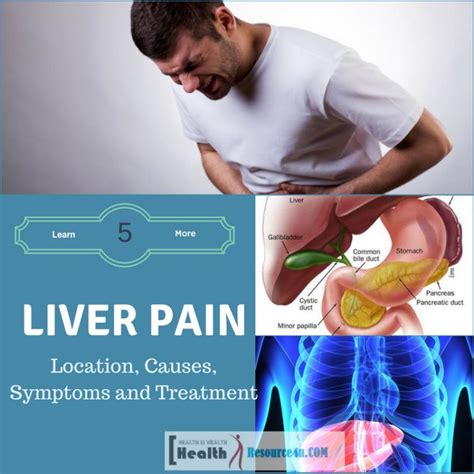 Human body organs muscles in the body. Liver Pain : Location , Causes , Symptoms and Treatment