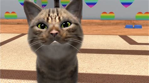 🐱 Instakitty 3d Virtual Cat Simulator 2017 Youtube