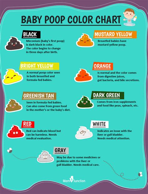 What Does Green Color Poop Mean In Babies The Meaning Of Color