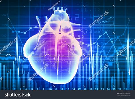 Virtual Image Human Heart Cardiogram Stock Illustration 141981598