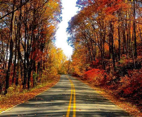 1366x768px 720p Free Download Autumn Road Autumn Highway Hd