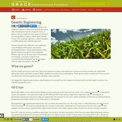 A gmo can be any organism or plant whose genetic material is altered by genetic engineering techniques for a reserach purpose or for a benefit. Genetic Engineering - Environmental Issues | Pearltrees