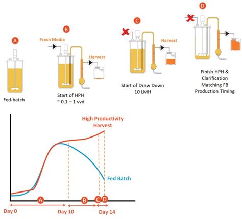 Using Alternating Tangential Flow With Fed Batch Cultures