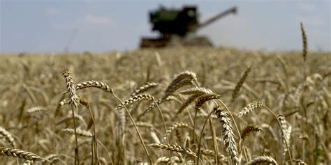 ukrainian cereals the eu “urges russia to reconsider its decision”