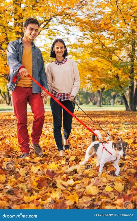 Happy Couple Walking Outdoors In Autumn Park With Dogs Stock Photo