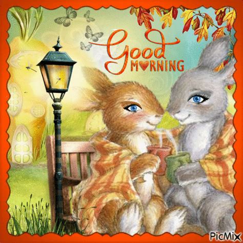Good Morning Bunnies  Pictures Photos And Images For Facebook