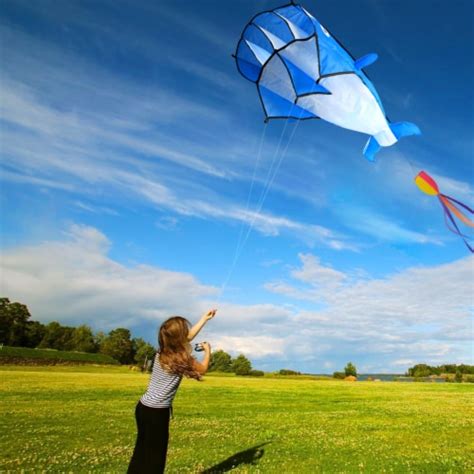 3d kite huge frameless soft parafoil giant dolphin kite blue 1 unit kroger