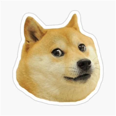 Doge Sticker For Sale By Holyoats Redbubble