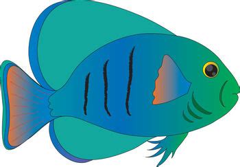 Tropical Fish Clip Art Clip Art Library
