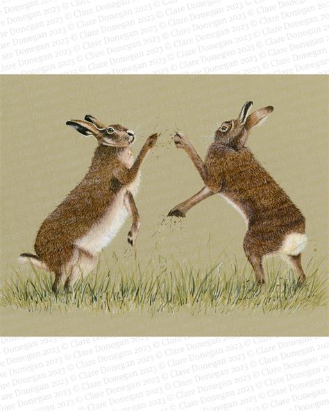 Boxing Hares Clare Donegan Military Art Military Artwork Shop