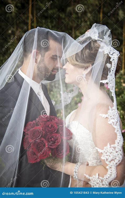 Bride And Groom Under Veil Stock Image Image Of Nature 105421843