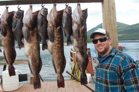 Fantastic Kodiak Island Ling Cod Fishing At Larsen Bay Luxury Alaska