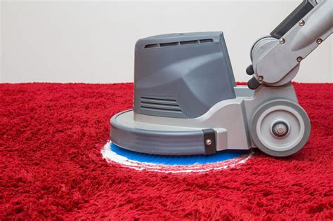7 Essential Carpet Cleaning Tools Every Professional Must Have Workiz