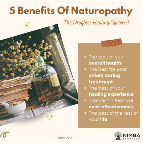 5 Benefits Of Naturopathy The Drugless Healing System Nimba