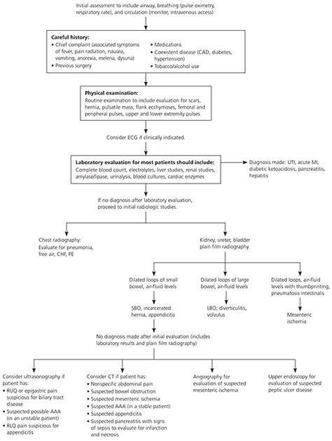 Diagnosis Of Acute Abdominal Pain In Older Patients